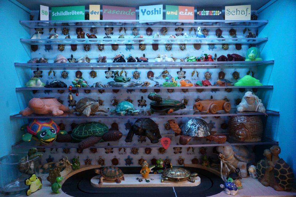 2019 - Ausstellung Hoosesaggmuseum Basel - Schildkroeten