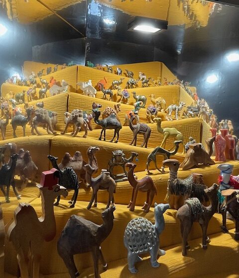 2024 - Ausstellung Hoosesaggmuseum Basel -Dromedar