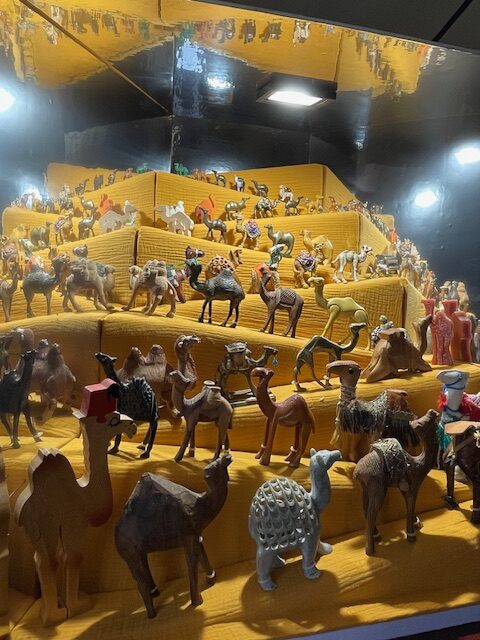 2024 - Exhibition Hoosesaggmuseum Basel -Dromedary